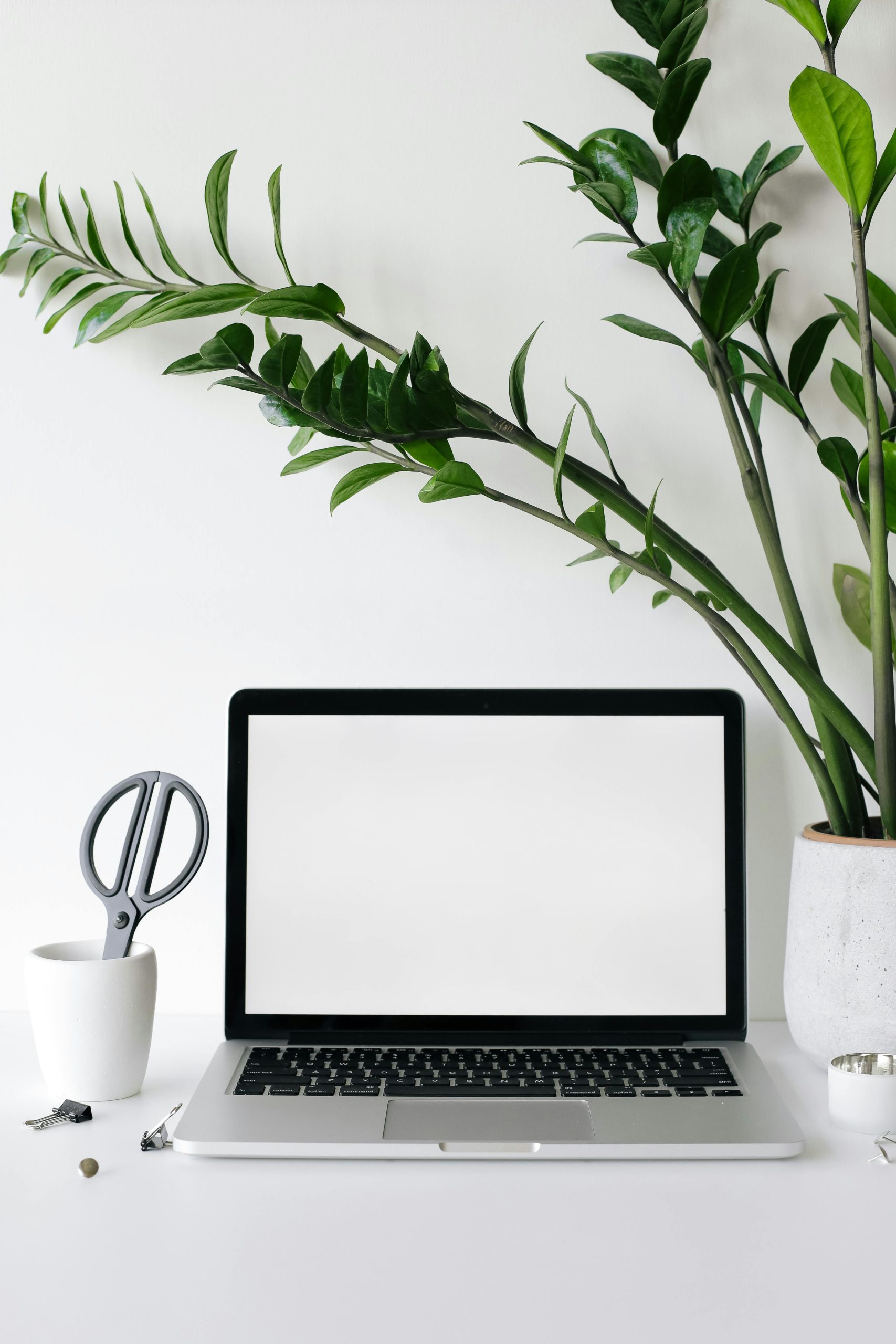 pexels annpoan 5797997